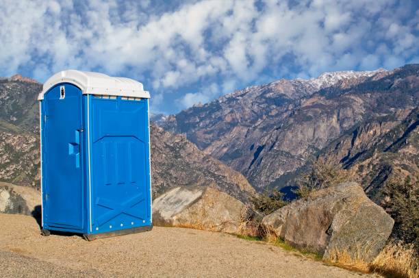 Best Affordable portable toilet rental  in Manito, IL